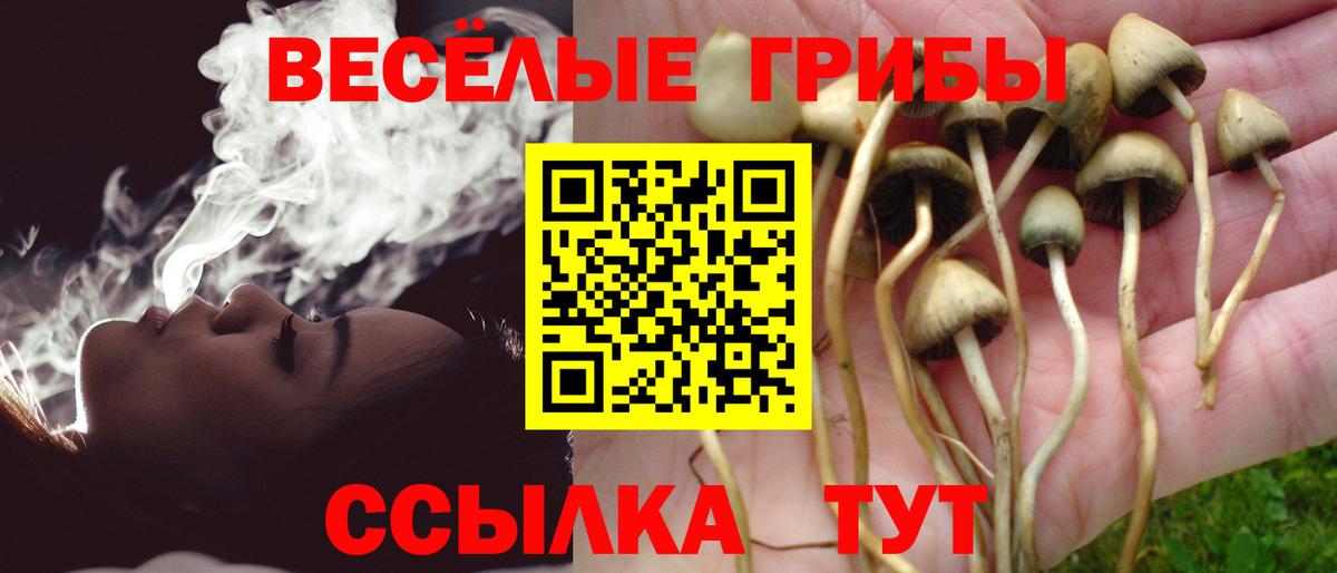 Псилоцибиновые грибы ЛСД  Галлюциногенные грибы прущие грибы  Вход с VPN  Лениногорск 